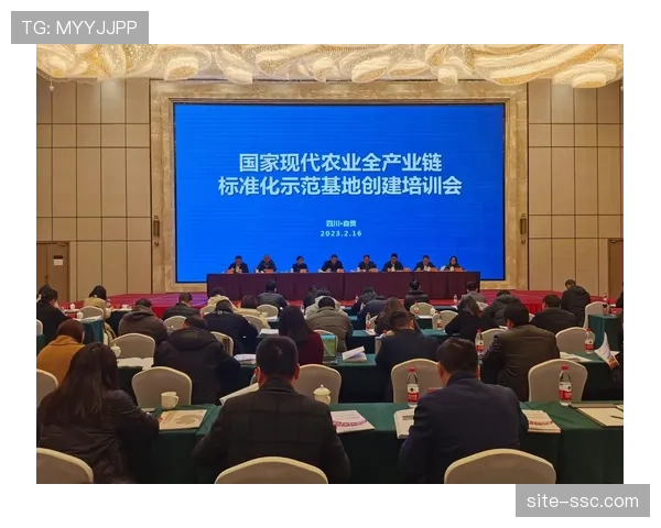 制作标准体系逐步统一 促进产业链上下游协同